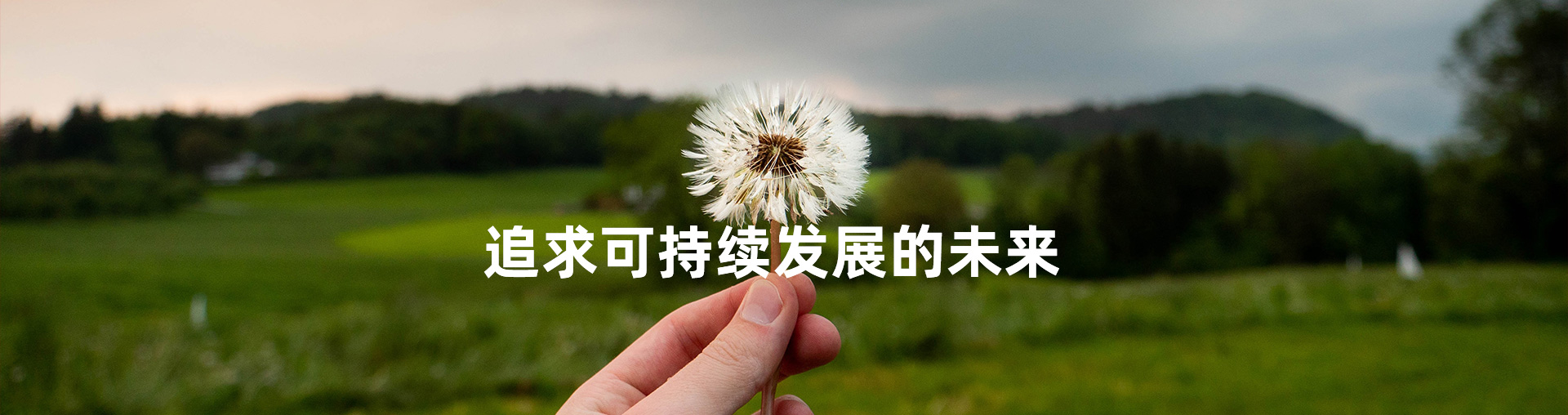 社會責(zé)任