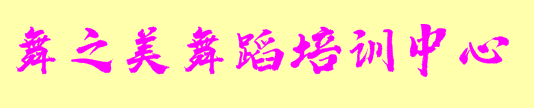 舞之美舞蹈培訓(xùn)中心