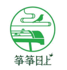 箏箏日上