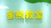 蜜熊教室