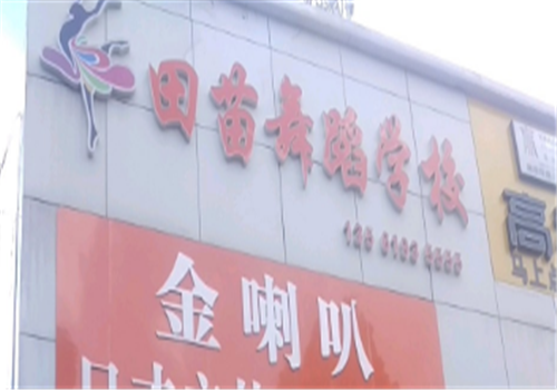 田苗舞蹈