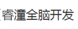 睿潼全腦開發(fā)