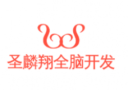 圣麟翔全腦開發(fā)