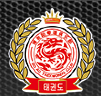 搏奧跆拳道