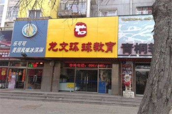 龍文環球教育