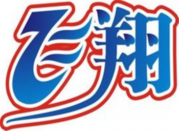飛翔藝術(shù)培訓(xùn)