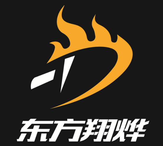 東方翔燁乒乓球教育