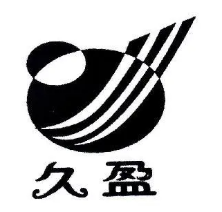久盈體育青少年籃球培訓(xùn)