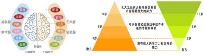 家有兒女全腦開發(fā)加盟
