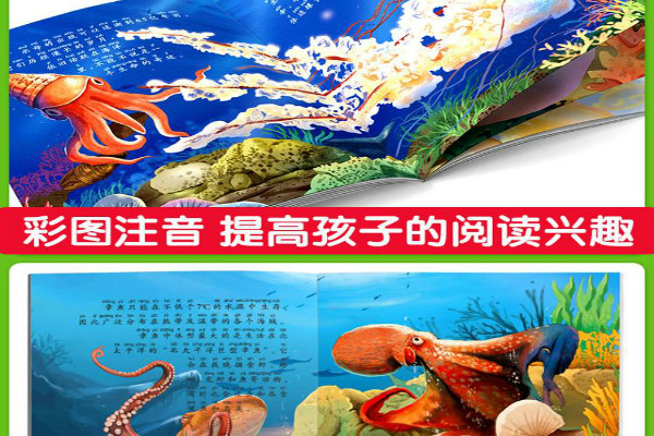 生物海洋啟蒙教材玩具加盟