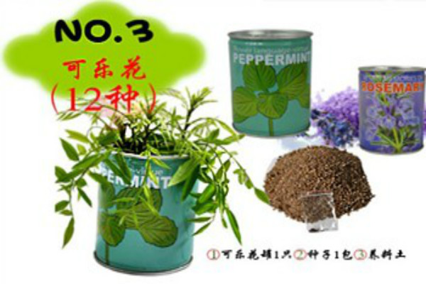 植物花草啟蒙教育玩具加盟