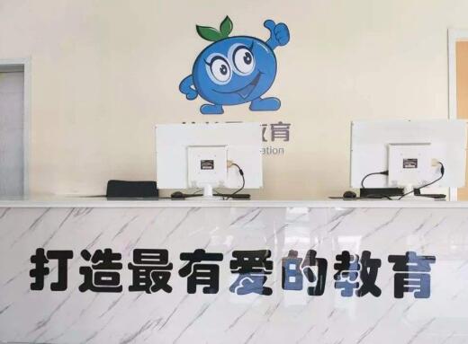 藍莓果幼小銜接加盟