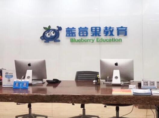 藍莓果幼小銜接加盟