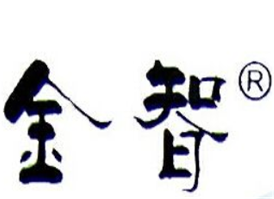 金智早教機