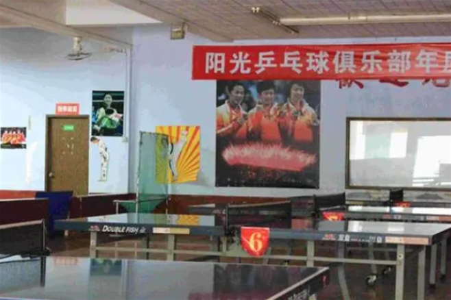 陽光乒乓球俱樂部加盟條件是什么？